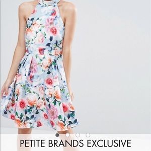 Paper Dolls Petite Floral Printed High Neck Dress
